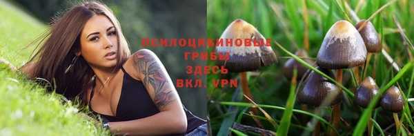 соль ск Абдулино