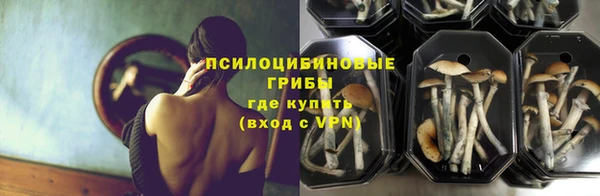 твердый Абаза