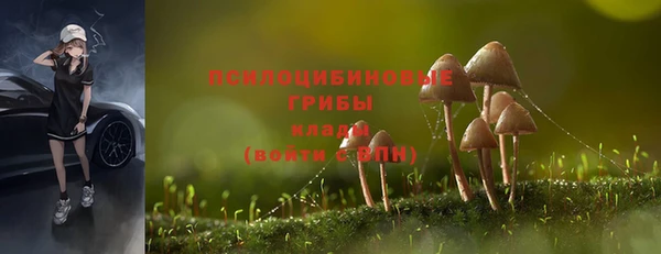 кокс Абинск