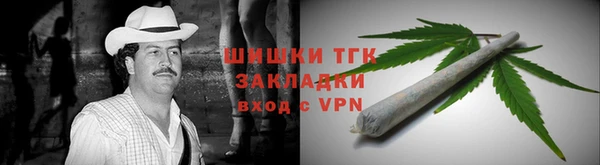 твердый Абаза